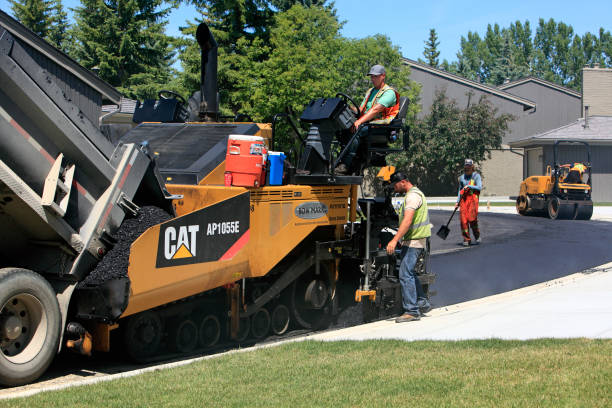 Best Local Driveway Pavers  in Woodside, PA